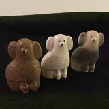 Minikennel Pudlar - Mini Poodles